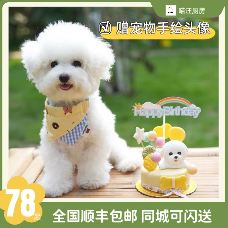 宠物蛋糕生日猫咪狗狗 送手绘头像顺丰包邮 泰迪比熊 喵汪厨房