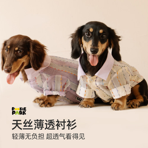 天丝薄透条纹狗狗睡衣衬衫