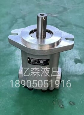 GM5-20-1FE13S-20液压齿轮泵GM5-5/6/8/10/12/16/20/25-AE13S-20