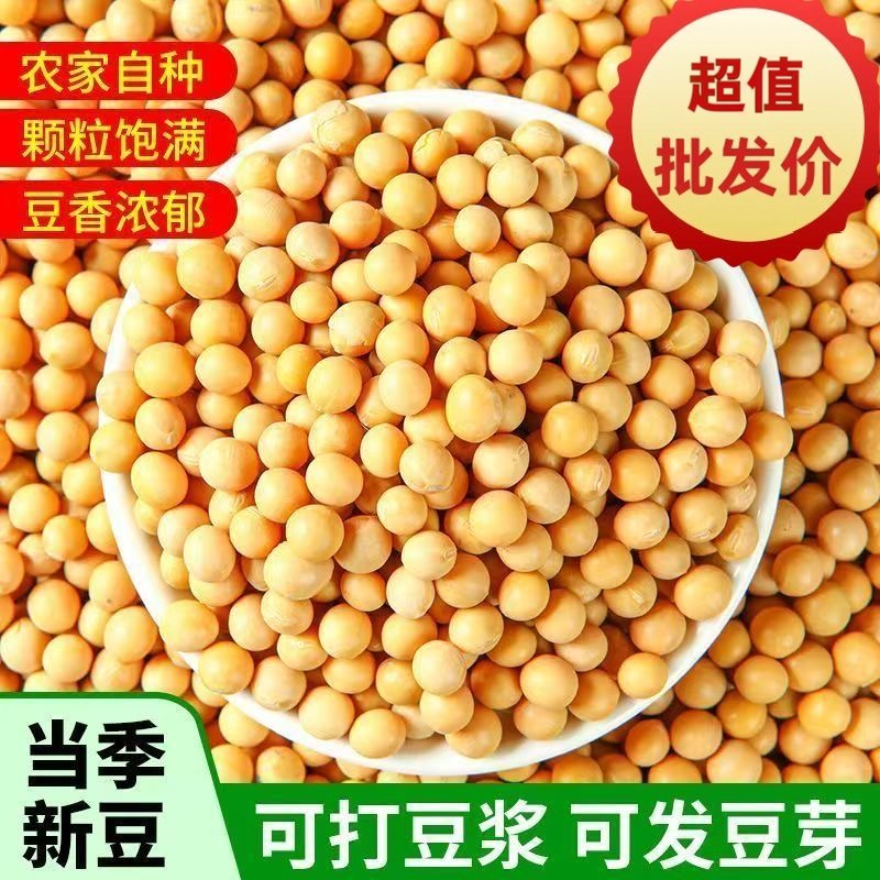 黑龙江农家黄大豆新货豆浆专用