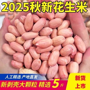 新鲜花生米河南新货花生白沙农家生花生米去壳花生仁零食 净重