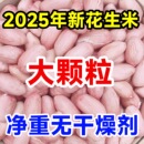 精选白沙花生米现剥无壳粉皮新鲜大粒圆润饱满香脆 25年新货