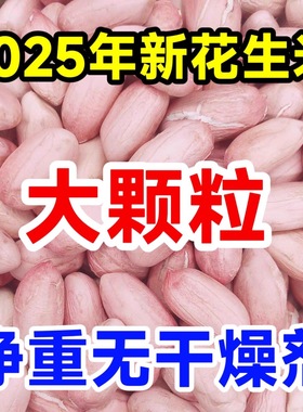 【25年新货】精选白沙花生米现剥无壳粉皮新鲜大粒圆润饱满香脆