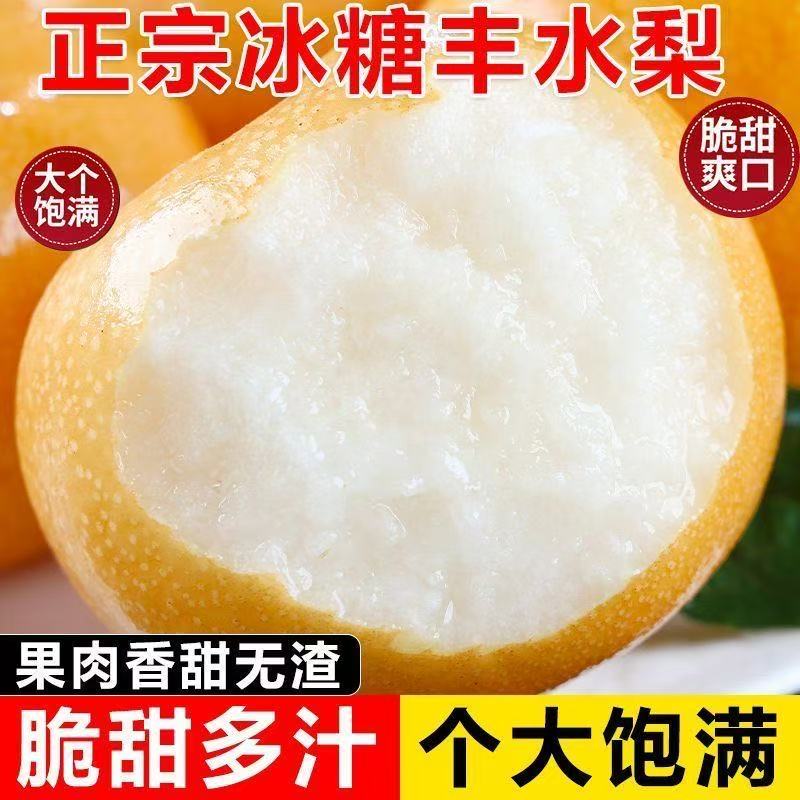 正宗山东烟台莱阳丰水梨新鲜水果当季冰糖雪梨子整箱产地直发