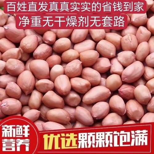 2025新鲜新货优质大颗粒花生农家花生米生的散装自产花生仁批发