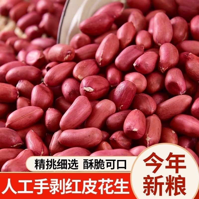 【新货】红皮花生米去壳大颗粒红花生米补气血红衣花生批发非奶粉