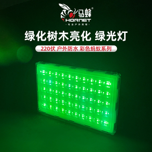 马蜂照明瞭 瞭led户外投光灯防雨防水高显色树木绿化亮化氛围绿光