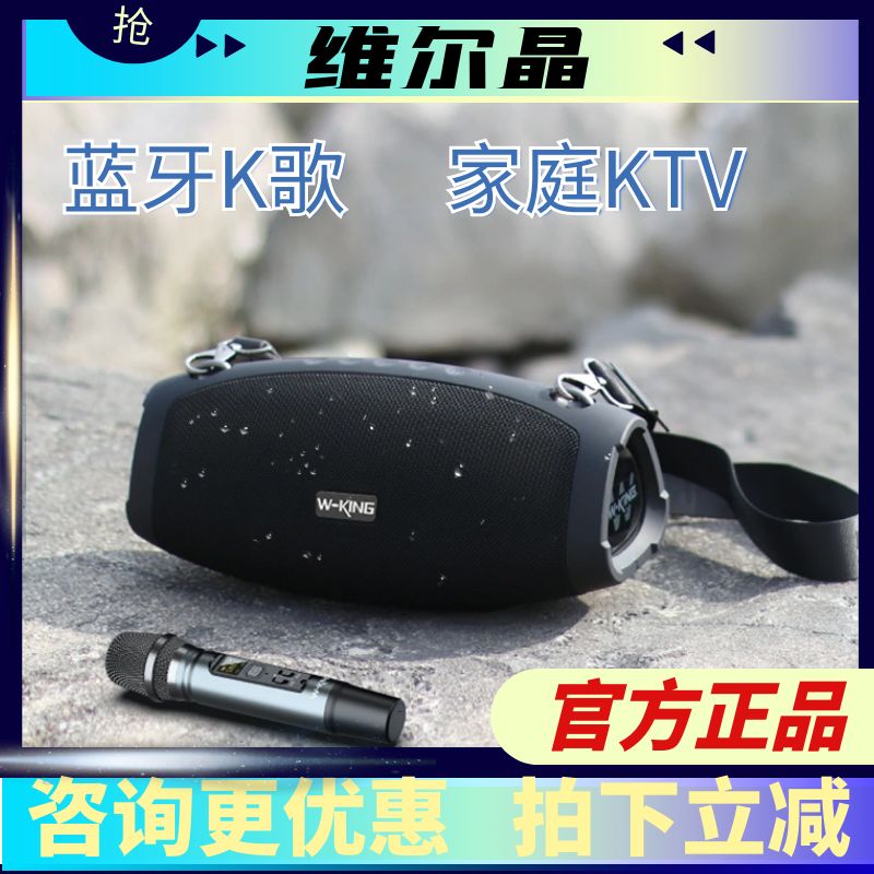 维尔晶D10+户外防水便携K歌斜挎式唱歌音响低音炮蓝牙音箱家庭KTV