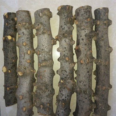 花椒木原木 花椒木手把件 花椒木按摩棒敲打棍 正宗花椒木