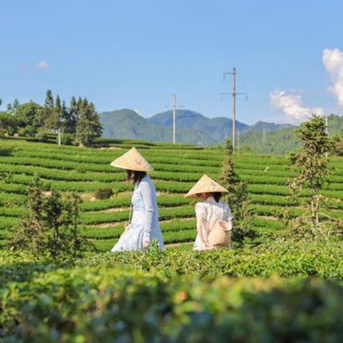 武夷山国宾馆，毗邻武夷宫（九曲竹筏终点站），交通便利 二十世纪建筑精品，中式园林含古风旅拍，在酒店出大片 超长有效期，周末、元旦、中秋不加价 沉浸式茶文旅体验，感受武夷山岩谷茶香