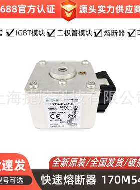 低压快速熔断器170M5458 170M5460 170M5462电子元器件 库存充足