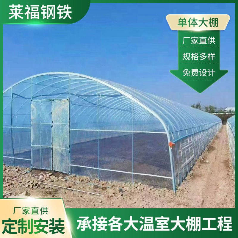单体大棚蔬菜水果花卉大棚育苗大棚保温好空间大单体蔬菜温室大棚