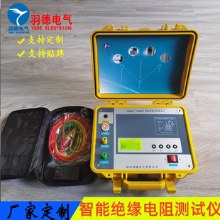 自动计算吸收比极化指数 5000智能绝缘电阻测试仪 优惠直销 MHV