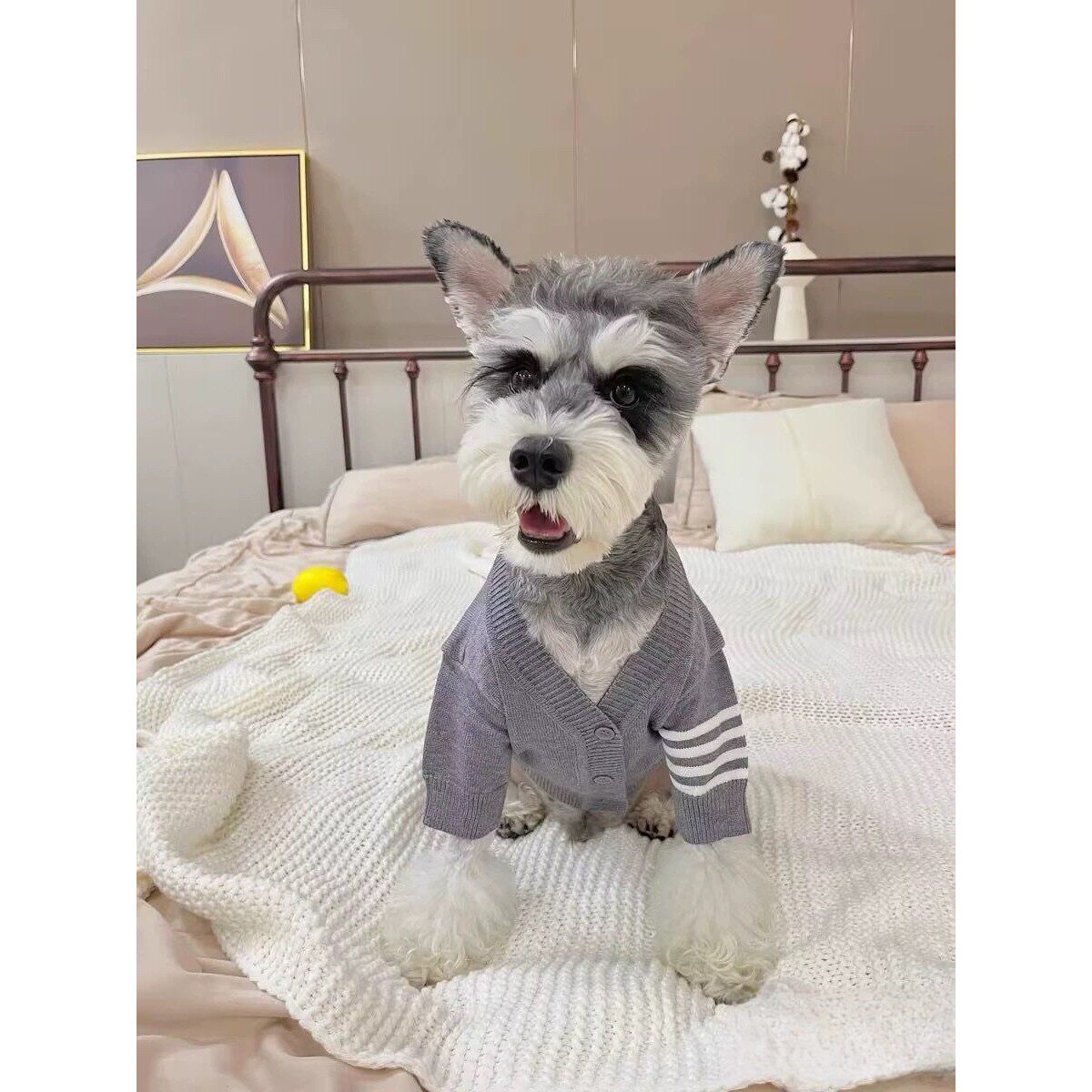 狗狗衣服秋冬装宠物毛衣猫咪泰迪博美比熊雪纳瑞法斗中小型犬服装