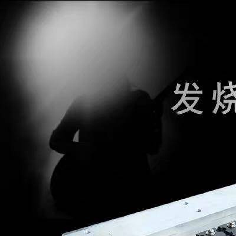永恒之音大功率单声道功放板专业功放主板代替CA20 CA30功放板