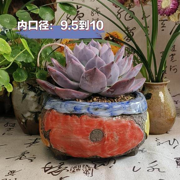 景德镇手工多肉花盆坛子姐多肉花盆中号包子圆口粗陶透水透气复古