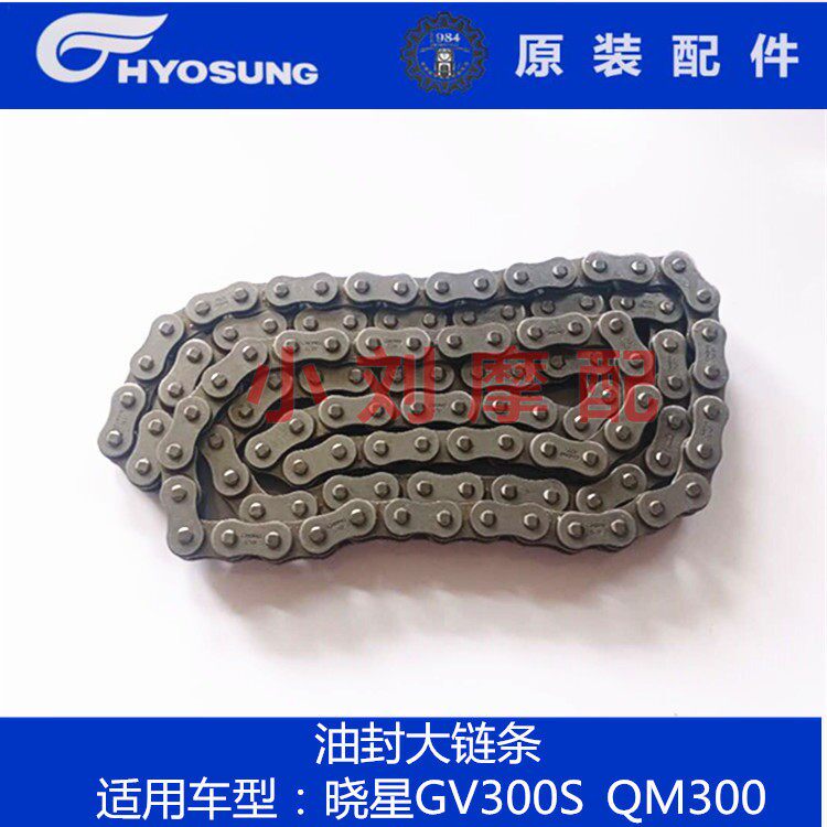 轻骑大韩晓星机车原装配件GV300SQM300徵和520HO油封大链条