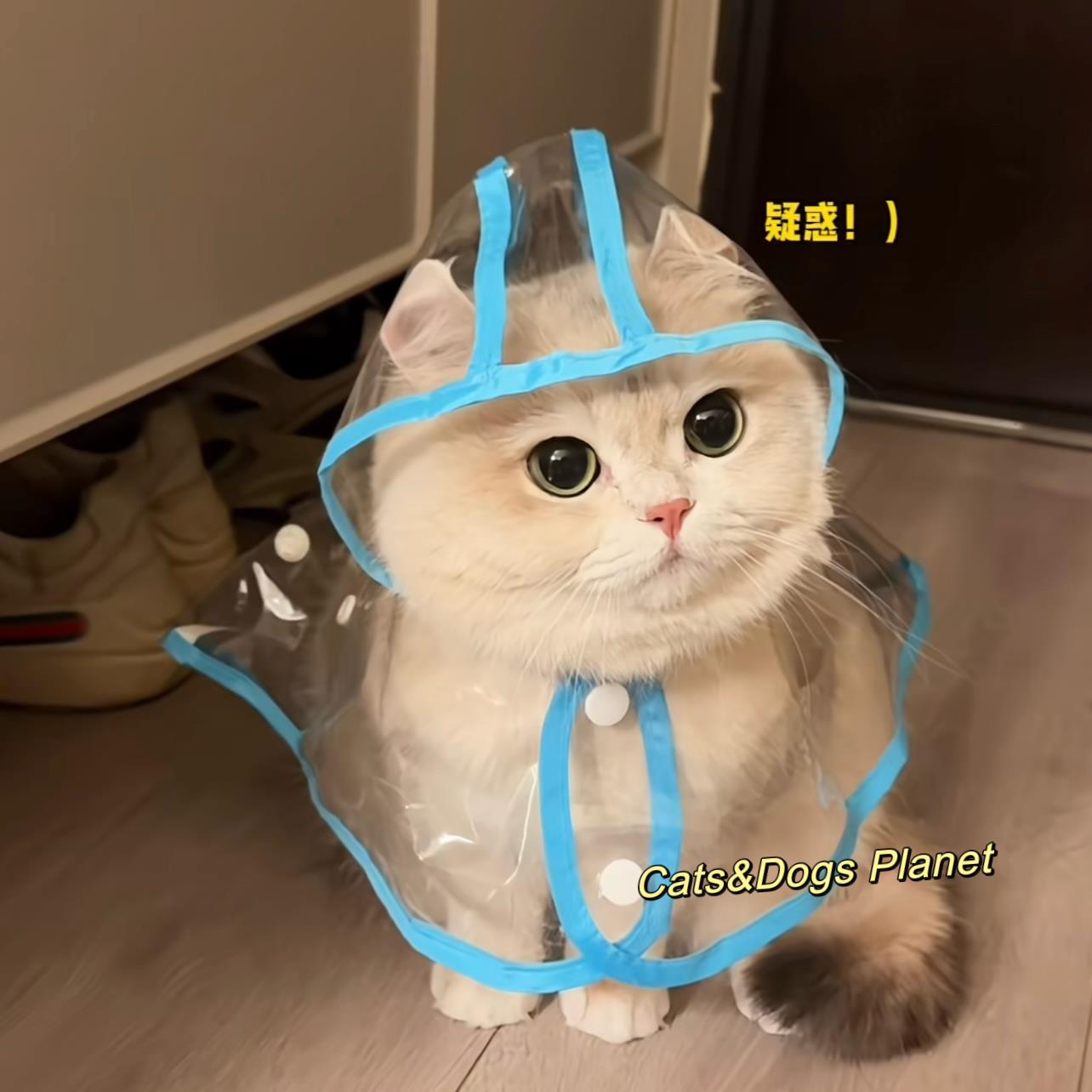 宠物猫咪狗狗雨衣户外防水全包雨小披风遛弯防水服透明斗篷带帽子
