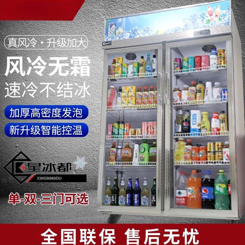 柜商用冷藏柜冰柜冷饮三门展示柜保鲜柜饮料蔬菜水果立式双门其他
