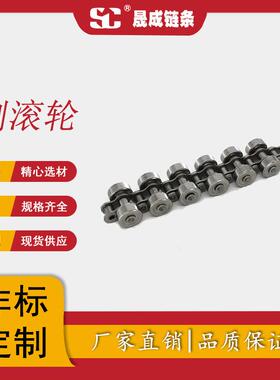 厂家直销晟成链条不锈钢碳钢节距12.7mm对称不锈钢侧滚轮SS40-SR