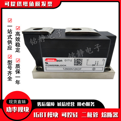 功率可控硅模块TZ600N16KOF TZ600N14KOF TZ600N12KOF