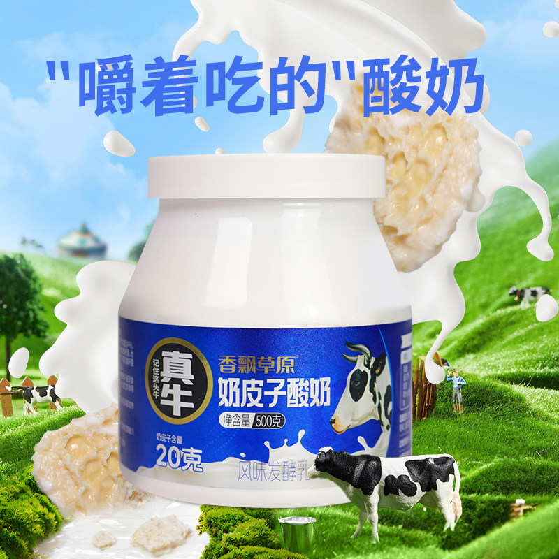 香飘草原官方内蒙古传统奶皮子酸奶传统工艺乳制品500g*2冷链直发