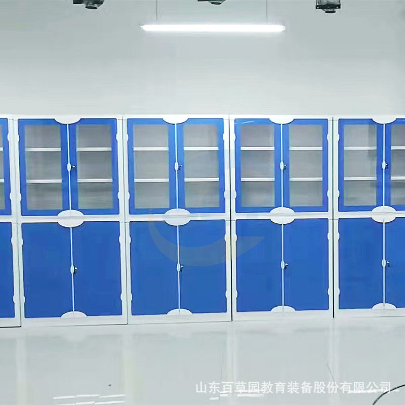 pp仪器柜实验室准备室仪器柜ABS药品柜 准备室工具柜药品柜,模玩/动漫/周边/娃圈三坑/桌游,文化/体育周边,淘宝优惠券,粉丝福利购,淘宝优惠卷