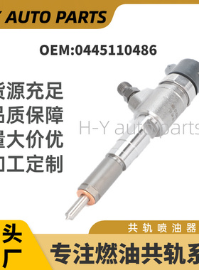 共轨电喷0445110859 喷油器总成DK300-1112100A-0445110486 0445