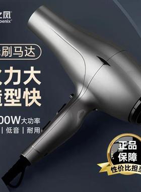 火之凤6600H电吹风机理发店发廊发型师2400W大功率无刷电机吹风筒