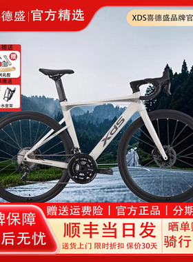 喜德盛2025新款AD300破风公路车铝合金车架20速中空牙盘油压碟刹