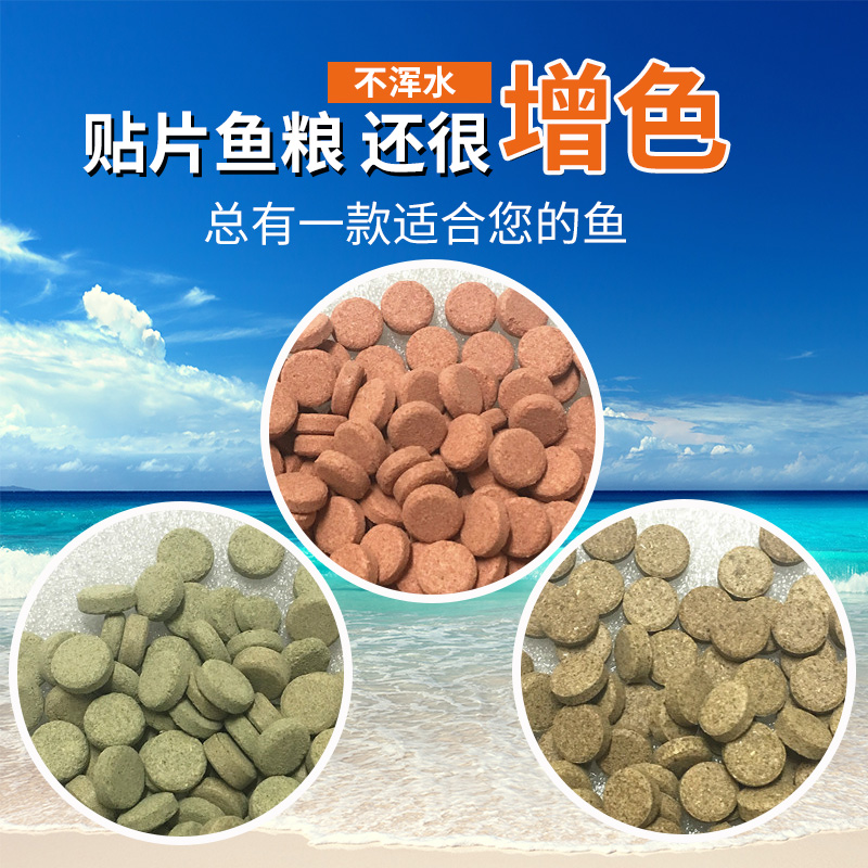 小型鱼食热带观赏鱼虾藻大蒜贴片鱼粮薄片素食鱼饲料淡水孔雀灯科