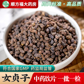 女贞子中药饮片500g药用女贞子中药材冬青籽酒女贞子女贞籽女真子