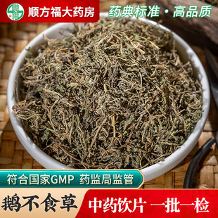 鹅不食草中药饮片500g药用鹅不食草中药材鹅不吃草干中药饿不食草