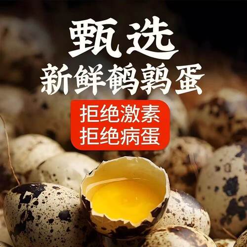 新鲜无抗鹌鹑蛋生鲜蛋健康好蛋40枚/盒源头直发国货安全优质农场