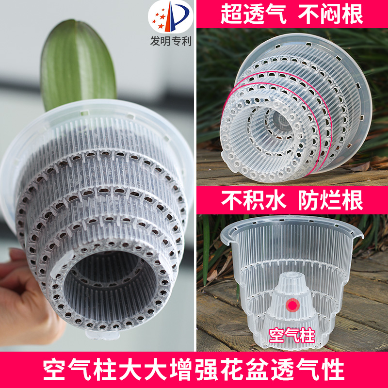 美莳养蝴蝶兰控根花盆栽种大口径透明透气塑料杯网镂空盆