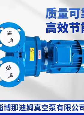 水环式真空泵2BV5110.2BV5111.2BV5121.2BV5131/5161水环式真空泵