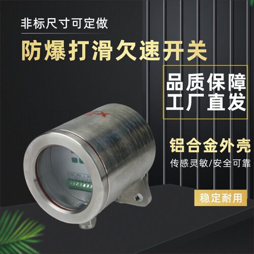 防爆欠速开关20-63X 皮带输送机非接触式打滑装置失速开关20-63P