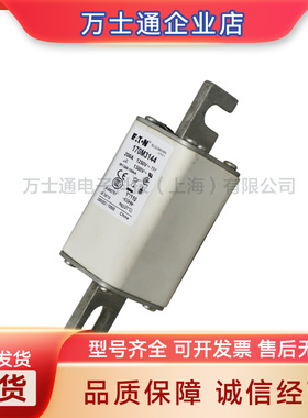 170M3071 170M3072 170M3073 170M4058 170M4059 170M4060熔断器