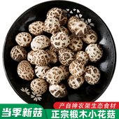 房县小花菇菌菇助农特产神农架非野生椴木迷你蘑菇冬菇干货香菇