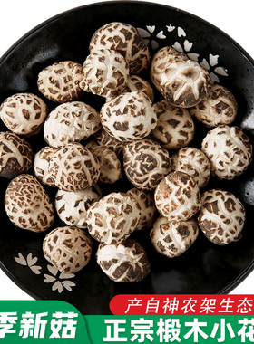 房县小花菇菌菇助农特产神农架非野生椴木迷你蘑菇冬菇干货香菇