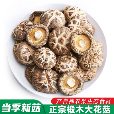 舌尖上的中国推荐食材房县花菇