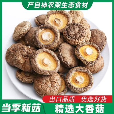 精选大香菇/圆润饱满/大小均匀