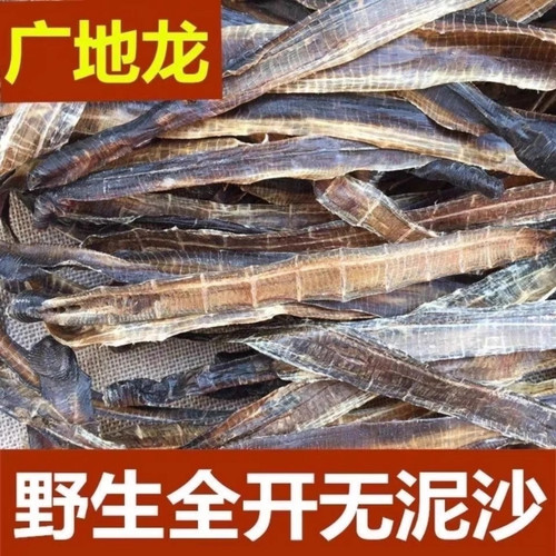 正品广西野生地龙中药材500g新货整条地龙干全开无沙蚯蚓干地龙粉