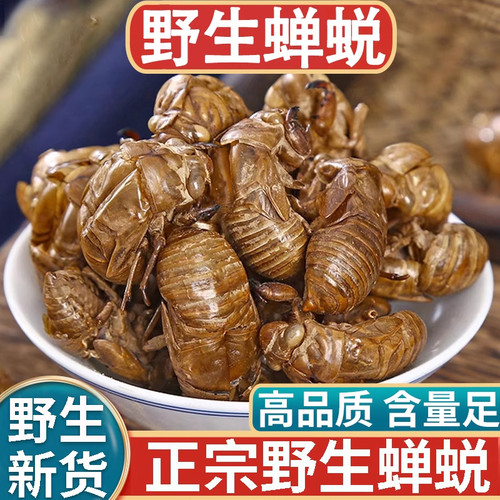 正品野生蝉蜕新货中药材500g蝉蜕壳蝉壳蝉衣蝉皮蝉退虫退知了壳皮
