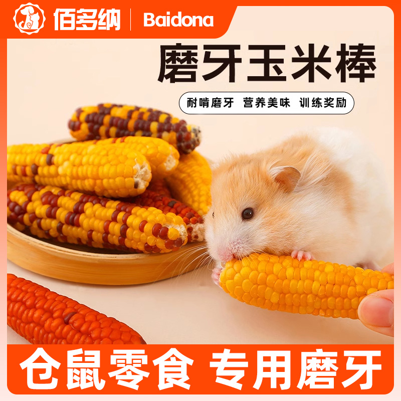 仓鼠零食磨牙专用玉米棒解闷鼠粮