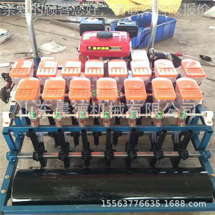 手撒推汽油播种机 香芹BIR小油菜精播菜多功能蔬小粒种子播机