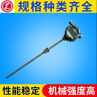 抗震耐磨热电阻k型铠装 240 热电偶 热电偶SBWZP pt100铠装