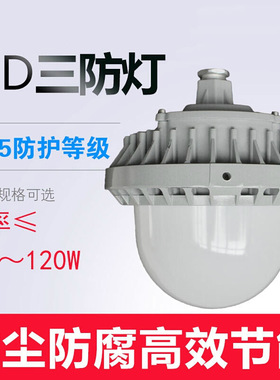 SZSW7140 LED泛光灯 30W 40W 50W 60W 70W 80W  SW7130 LED工作灯