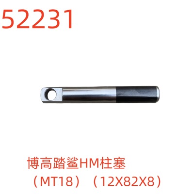 博高踏鲨HM柱塞（MT18）（12X82X8）-52231号