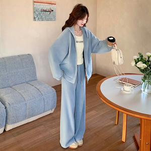 蓝色休闲运动卫衣套装女2025春新款宽松连帽外套显瘦阔腿裤两件套